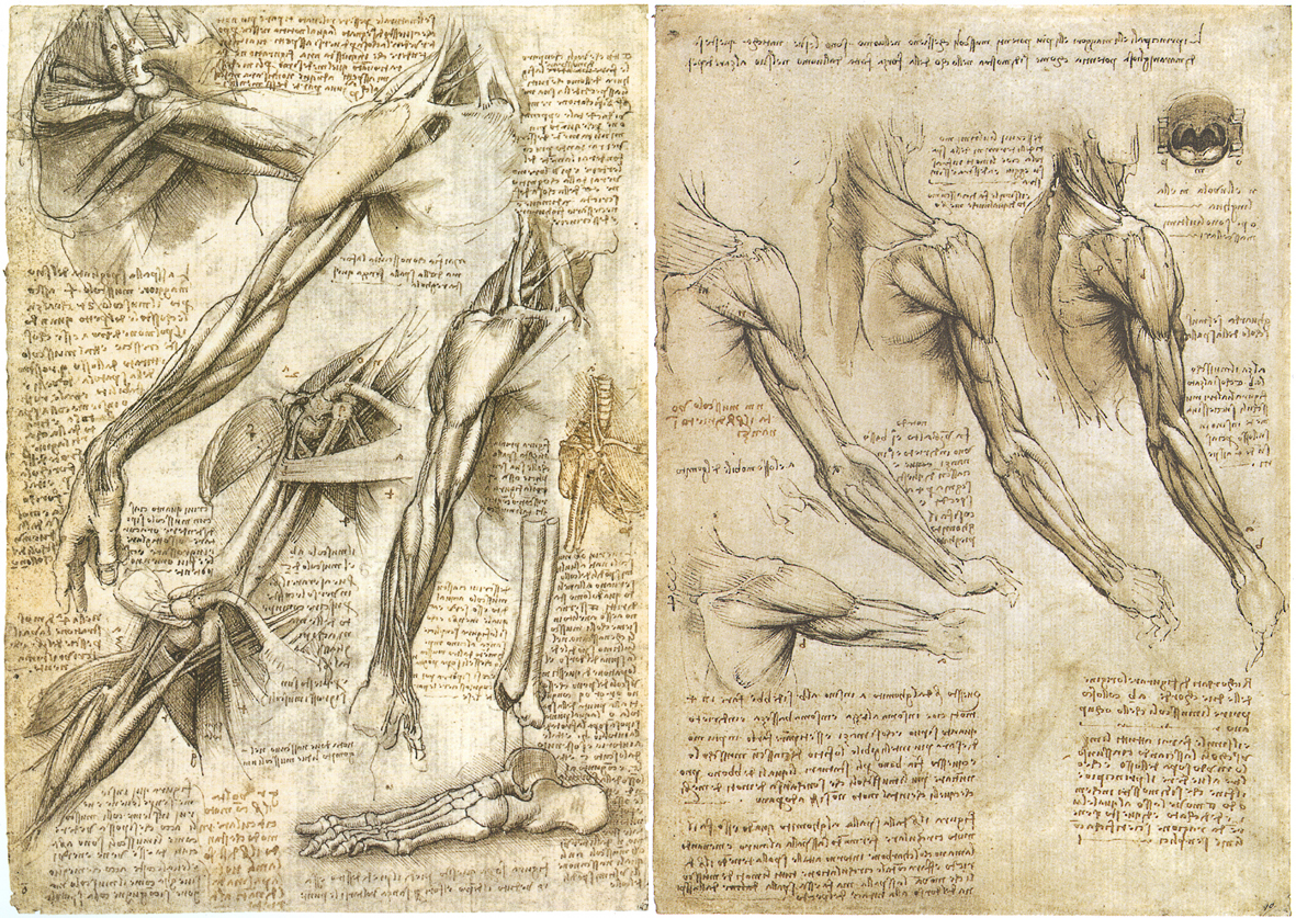 Leonardo+da+Vinci-1452-1519 (958).jpg